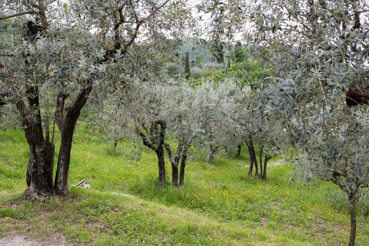 Agriturismo Il Calesse Quarrata Exterior photo